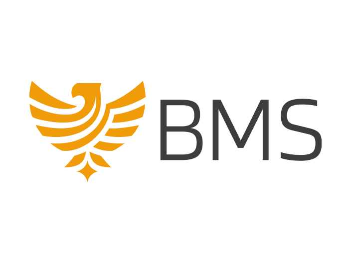 empréstimo BMS